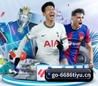 6686体育 APP